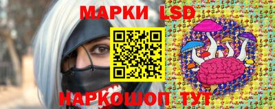 Альфа ПВП Малгобек