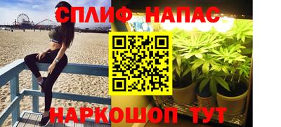 Альфа ПВП Малгобек