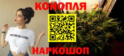 Альфа ПВП Малгобек