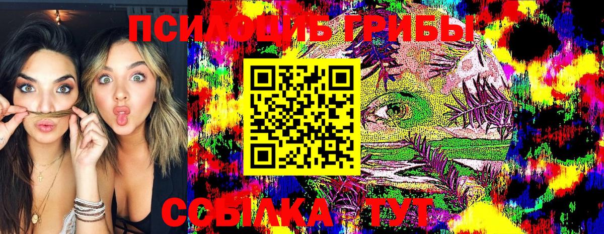 Галлюциногенные грибы Psilocybine cubensis Ишим