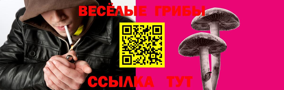 Псилоцибиновые грибы Psilocybe  Вход с VPN  Галлюциногенные грибы прущие грибы  Ишим 